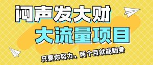 闷声发大财,大流量项目,月收益过3万,只要你努力,两个月就能翻身-掘金网