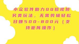 小众软件助力QQ短视频另类玩法,无需剪辑轻松日赚500-800元(支持矩阵...-掘金网