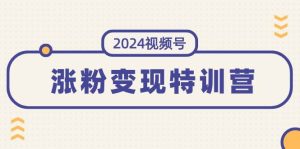 2024视频号-涨粉变现特训营：一站式打造稳定视频号涨粉变现模式（10节）-掘金网