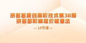 拼多多原创高阶技术第38期，拼多多阶梯提价破量法（14节课）-掘金网