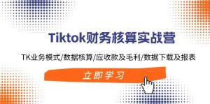 Tiktok财务核算实战营:TK业务模式/数据核算/应收款及毛利/数据下载及报表-掘金网