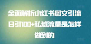 全面解析小红书图文引流日引100私域流量是怎样做到的-掘金网