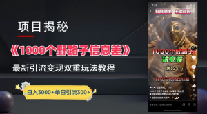 抖音一千个野路子信息差最新玩法教程-变现＋引流的玩法具体拆解-掘金网